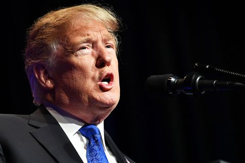 Lenkt Donald Trump nun doch im Mauerstreit ein? Bericht über Bewegung im "Shutdown"-Zoff