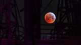 Blutmond
