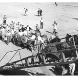 Es erforderte einige Überredungskunst, bis die Briten den Bären an Bord ließen.