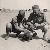 Zu Beginn war der Bär nur ein kleines Fellknäuel.