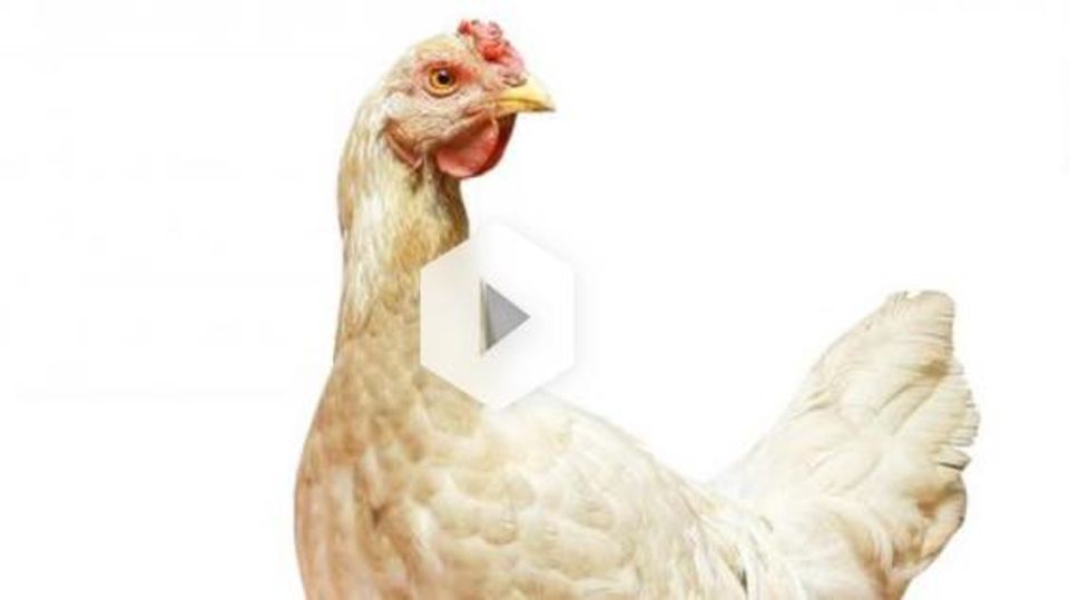 Bio zwischen Wahn und Sinn Bio zwischen Wahn und Sinn