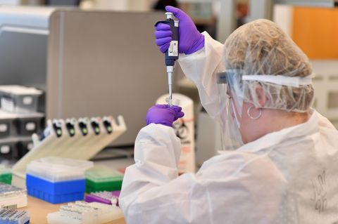 DNA-Test in einem Labor in New York