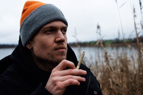 Cannabis