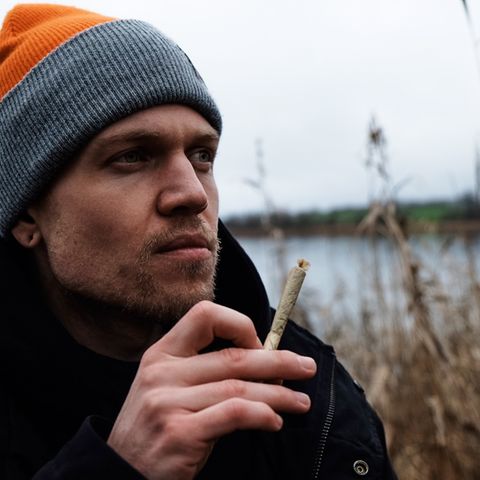 Cannabis
