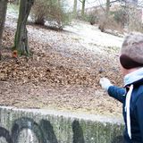 Ein Snack für Eichhörnchen Jan, den er gern annimmt