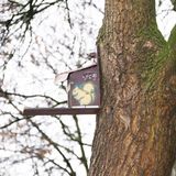 Eine der Futterstationen, die die Gruppe "Großstadt-Eichhörnchen" angebracht hat