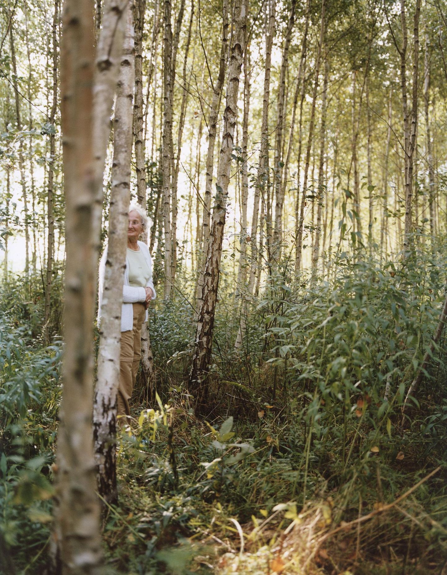 Eine alte Frau steht in einem Birkenwald