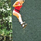 Dschungelcamp 2019, Tag 15