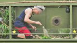 Dschungelcamp 2019