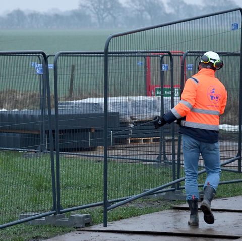 Dänemark setzt im Kampf gegen die Schweinepest auf einen Grenzzaun