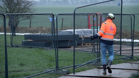 Dänemark setzt im Kampf gegen die Schweinepest auf einen Grenzzaun