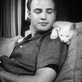 Dösen auf der Schulter von Marlon Brando; aufgenommen 1954 in der Villa des Schauspielers in Los Angeles.