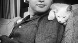 Dösen auf der Schulter von Marlon Brando; aufgenommen 1954 in der Villa des Schauspielers in Los Angeles.