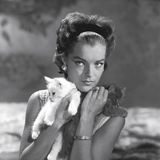 Romy Schneider, aufgenommen 1961 während des Drehs zu "Der Job" aus dem Episodenfilm "Boccaccio 70" von Luchino Visconti