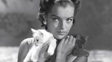 Romy Schneider, aufgenommen 1961 während des Drehs zu "Der Job" aus dem Episodenfilm "Boccaccio 70" von Luchino Visconti