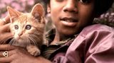Mai 1971: Der junge Michael Jackson posiert bei einem Fototermin für eine Zeitschrift mit der Katze des Chefredakteurs