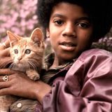 Mai 1971: Der junge Michael Jackson posiert bei einem Fototermin für eine Zeitschrift mit der Katze des Chefredakteurs
