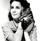 Ein Porträt von Elizabeth Taylor aus den 1940er-Jahren