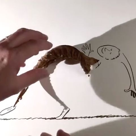 Fundstück Kunststück: Teetasse wird zum Elefanten: Dieser Künstler zaubert aus Schatten Illusionen