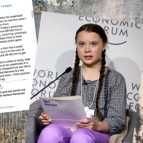 Shitstorms gegen nachhaltige Influencer