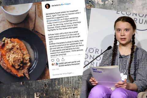Shitstorms gegen nachhaltige Influencer