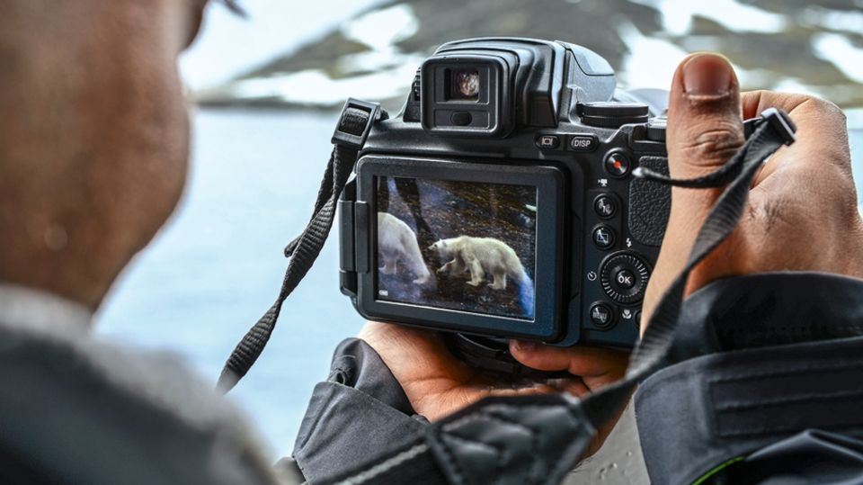 Begehrtes Fotomotiv: Wenn Eisbären gesichtet werden, stoppt der Kapitän die Maschinen, und die Reisenden drängen an Deck