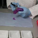 Stiftung Warentest Sextoys