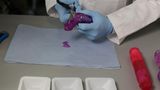 Stiftung Warentest Sextoys