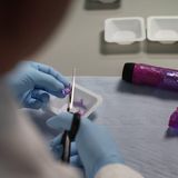 Stiftung Warentest Sextoys