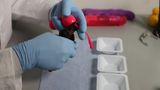 Stiftung Warentest Sextoys