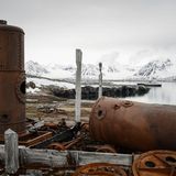 Auf der Insel Blomstrandhalvoya gibt es die Überreste des kläglich gescheiterten Abbauversuchs von Marmor durch die Engländer Anfang des 20. Jahrhunderts zu sehen