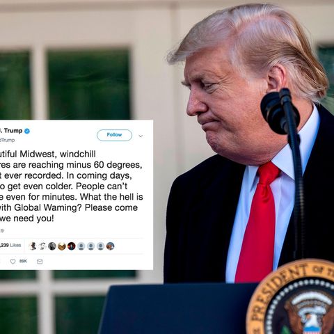 Donald Trump leugnet erneut den Klimawandel auf Twitter