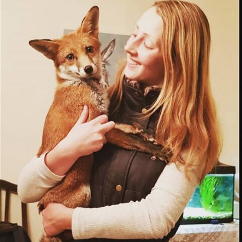 Die 19-jährige Gemma Holdway mit ihrer kleinen Füchsin Vixey