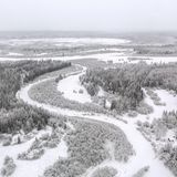 Taiga, so weit das Auge reicht. Rechts unten eine Jagdhütte. Die Männer jagen Elche als Fleischvorrat und fangen Zobel zum Verkauf. Niemand geht ohne Waffen in den Wald. Wegen der Bären.
