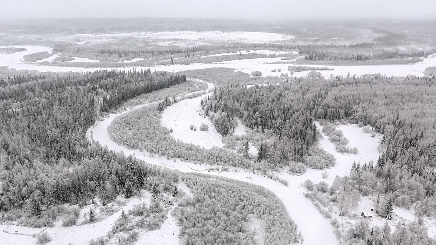 Taiga, so weit das Auge reicht. Rechts unten eine Jagdhütte. Die Männer jagen Elche als Fleischvorrat und fangen Zobel zum Verkauf. Niemand geht ohne Waffen in den Wald. Wegen der Bären.