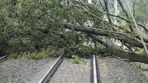Ein umgestürzter Baum blockiert die Bahngleise