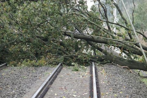 Ein umgestürzter Baum blockiert die Bahngleise