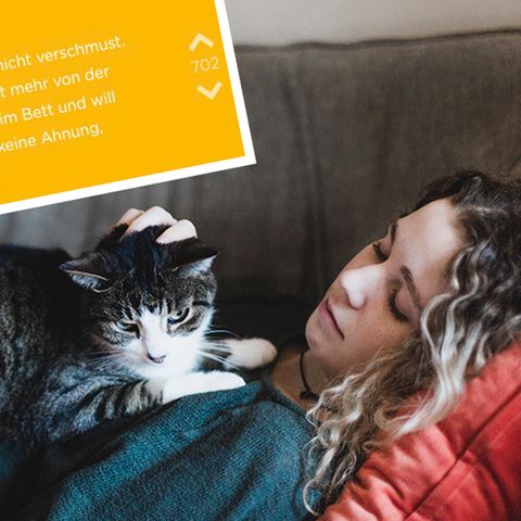 Eine Studentin sorgt sich auf Jodel um ihren Kater – und bekommt einen überraschenden Rat
