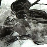 Viel Toten waren halbnackt im Schnee erfroren.