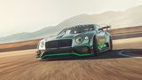Bentley Continental GT3 dynamic