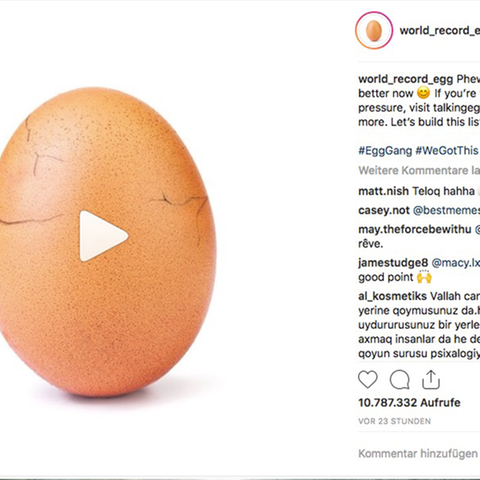Instagram-Post des Accounts "world_record_egg"