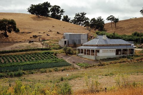 Australien: Landschaft mit Farmhaus und Viehweide in South Australia.