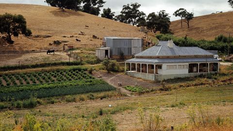 Australien: Landschaft mit Farmhaus und Viehweide in South Australia.