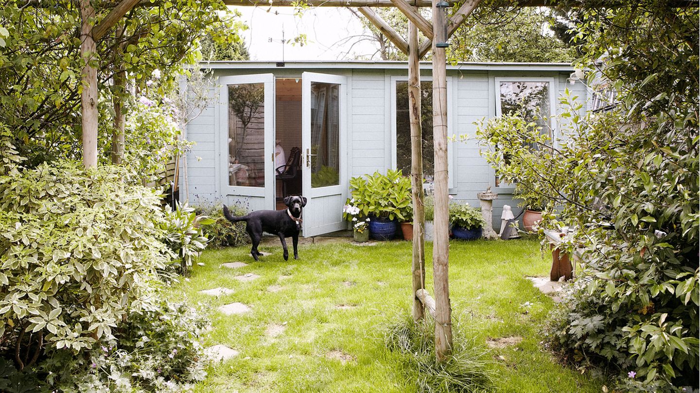 Gefährlich für den Hund: Gift im Garten