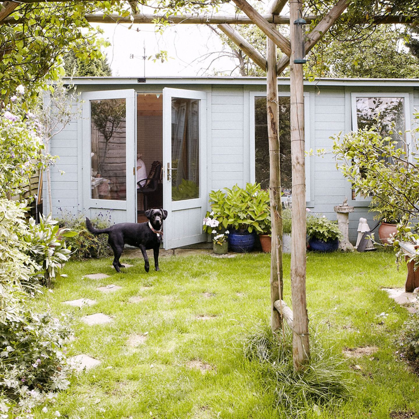 Gift im eigenen Garten: Diese Gefahren lauern fr den Hund | STERN.de