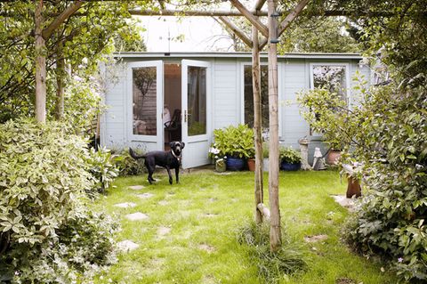 Gefährlich für den Hund: Gift im Garten