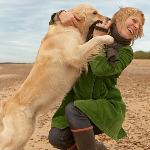 Wie man Hunden das Anspringen abgewöhnt