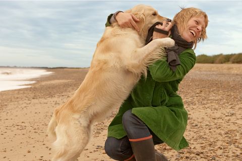 Wie man Hunden das Anspringen abgewöhnt