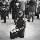 Junger Schuhputzer in New York, 1954