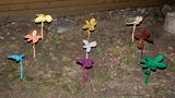 "Pushing Up Daisies"